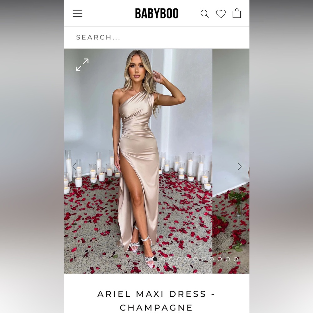 Brand new Babyboo Ariel maxi dress in champagne/gold color. Never worn, tags on!